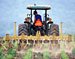 Crop Protection