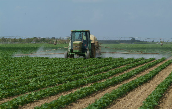 Syngenta Crop Protection products help your crop thrive