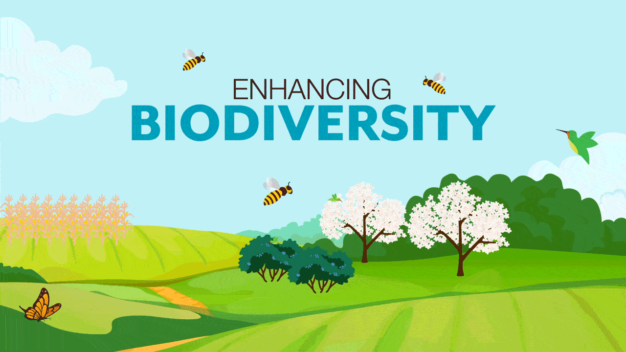 Enhance Biodiversity