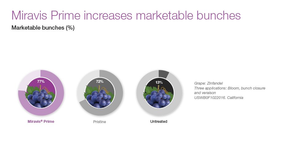 Miravis Prime increases marketable bunches
