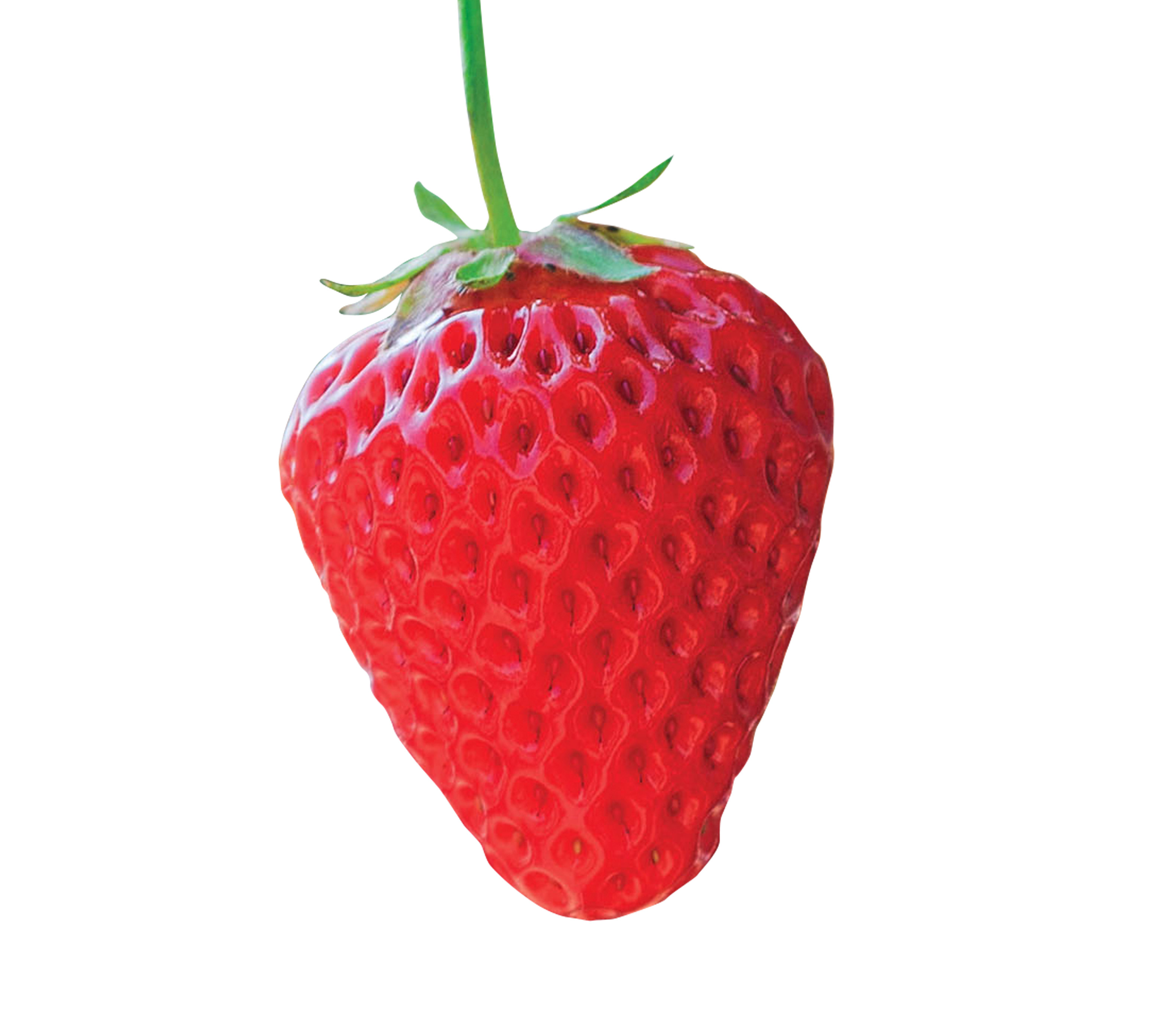 Strawberry.