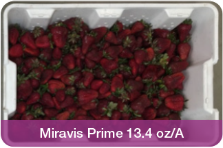 Miravis Prime Strawberries comparison.