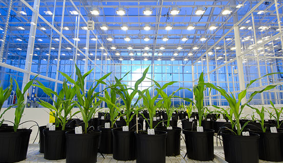 Working with GreenLeaf