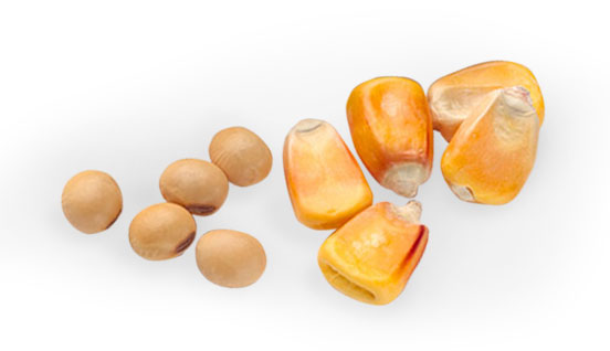 Working with GreenLeaf