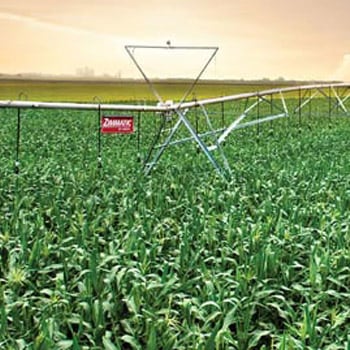 Water to Corn