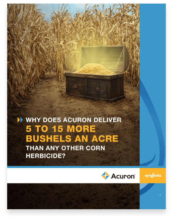 Brochure that informs readers about Acuron, one of our leading herbicide recommendations for corn.