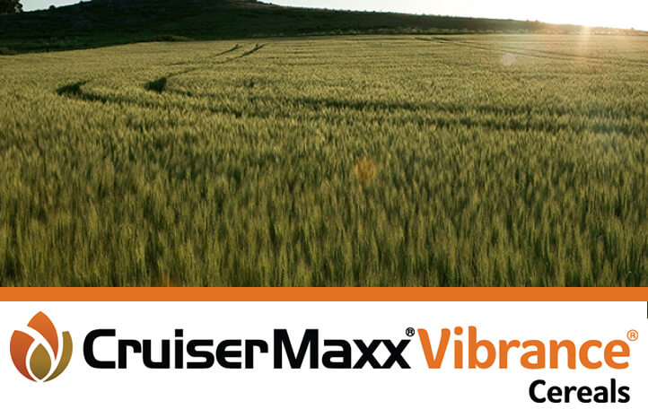 CruiserMaxx Vibrance Cereals