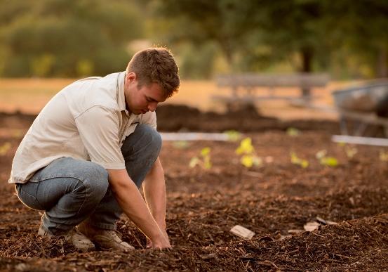 a man crouched down in a field planting