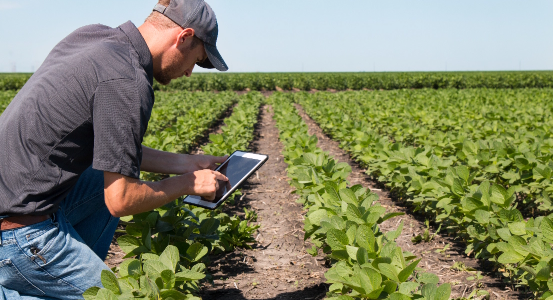 farmer crouched down in a field holding a tablet