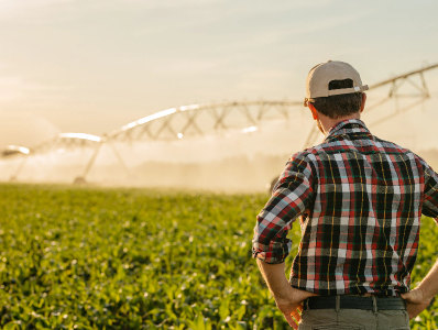 farmer standing in a field looking at an irrigation pivot
