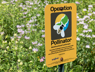 Operator Pollinator sign posted in a field